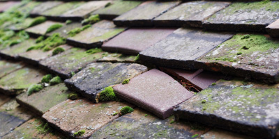 Hirle roof repair costs